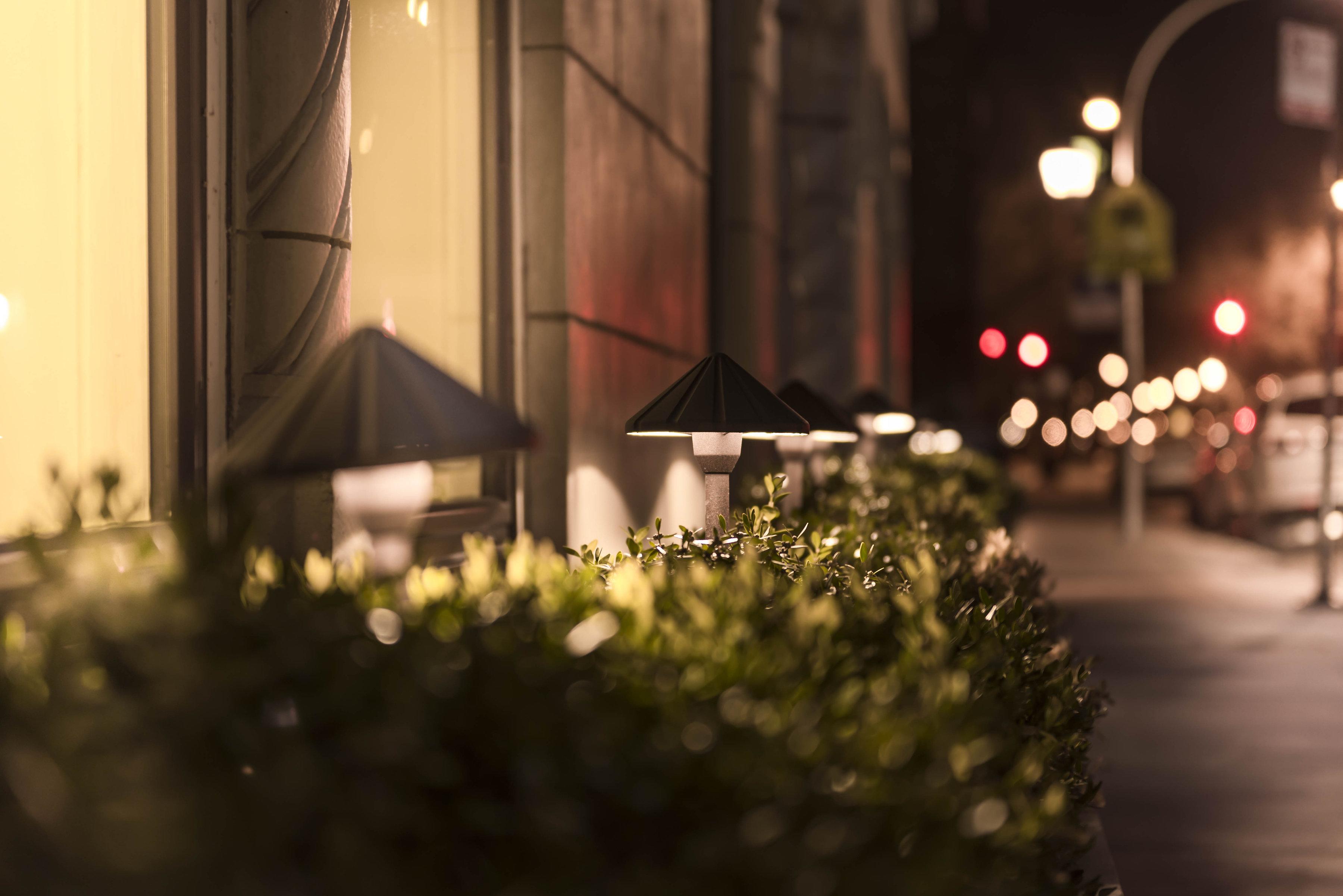 Hotel Chicago West Loop, Surestay Collection By Best Western Luaran gambar